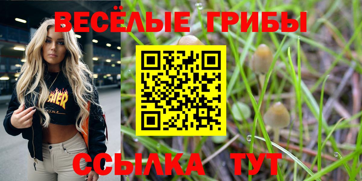 Псилоцибиновые грибы Magic Shrooms Можайск